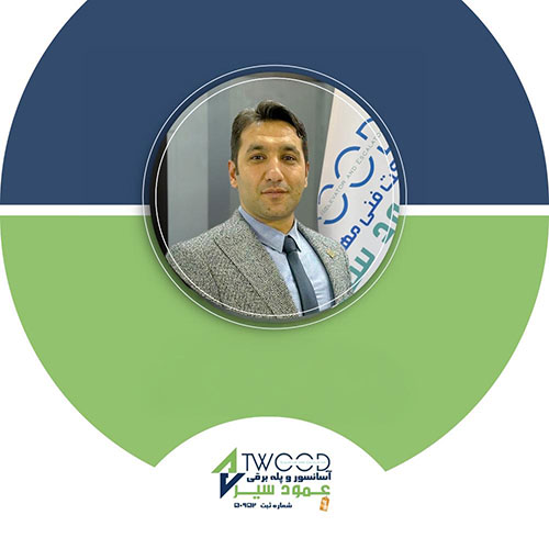 سعید عباسی